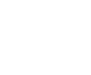 Evolution games at Maximal Wins Casino